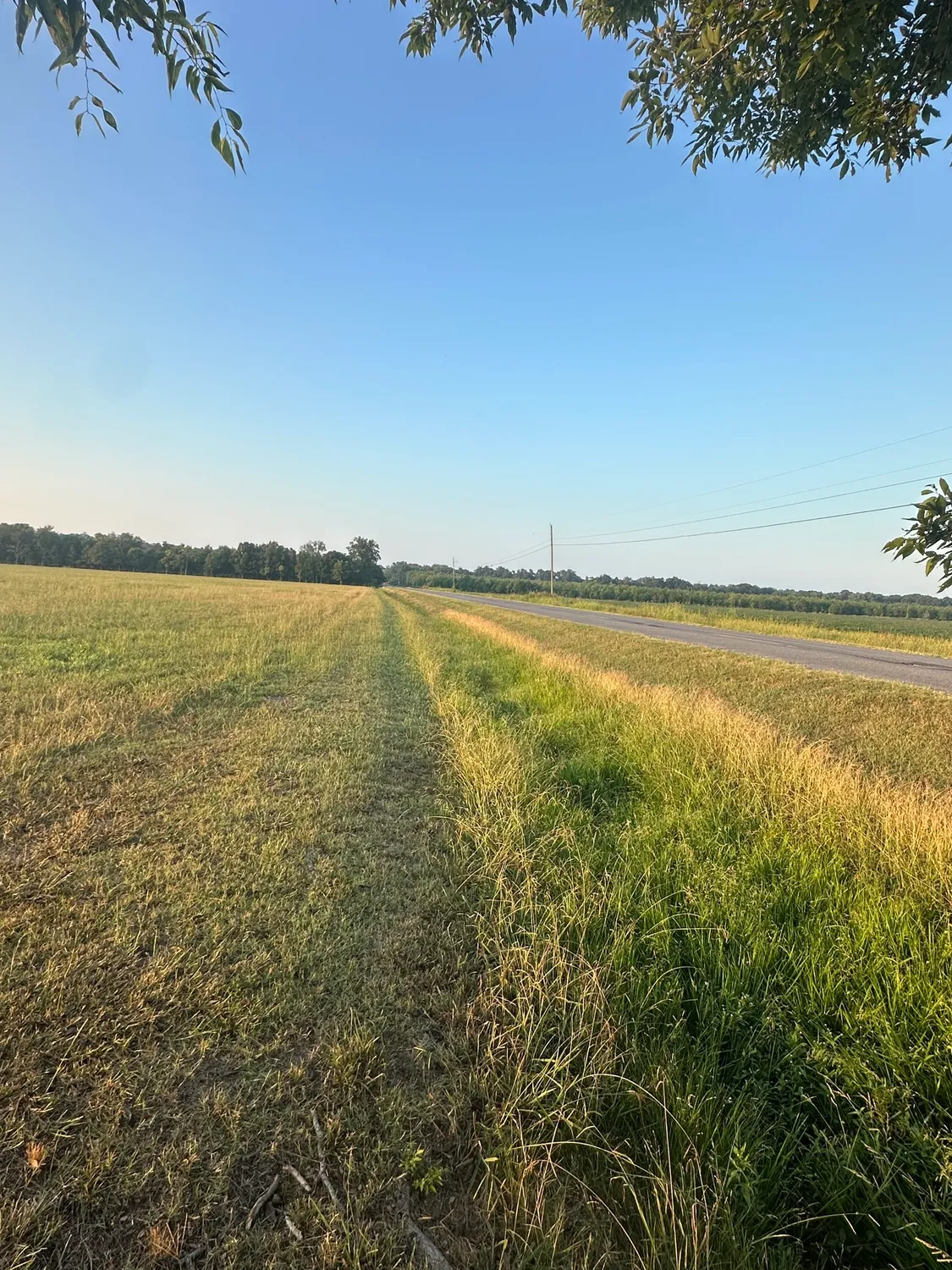 cover-photo