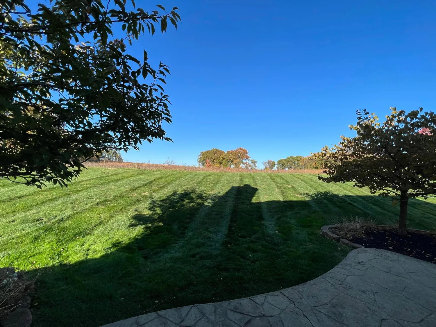 cover-photo