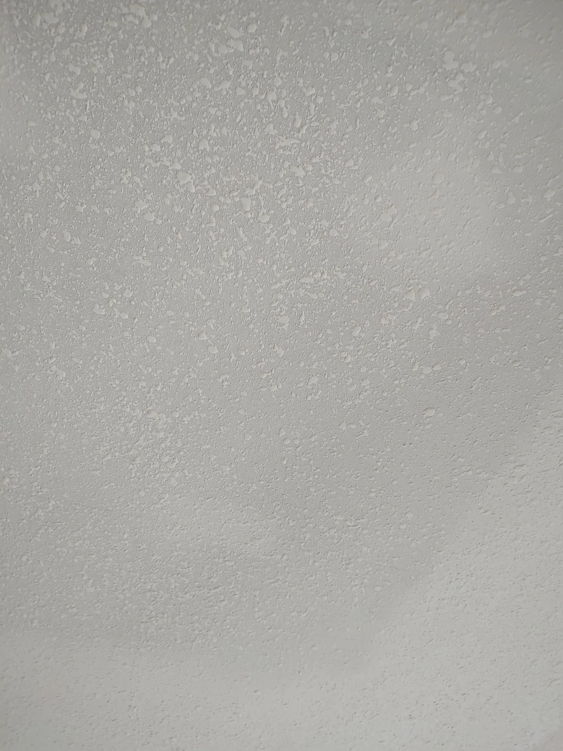 cover-photo