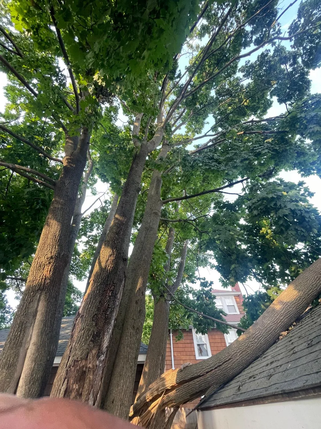 cover-photo