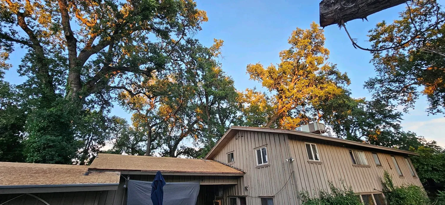 cover-photo