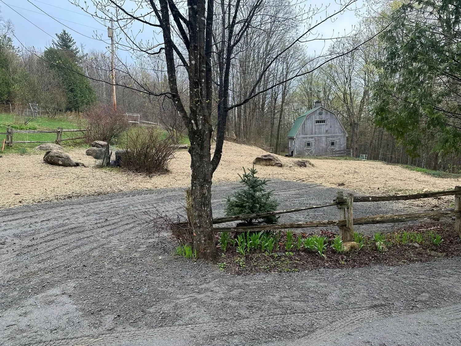 cover-photo