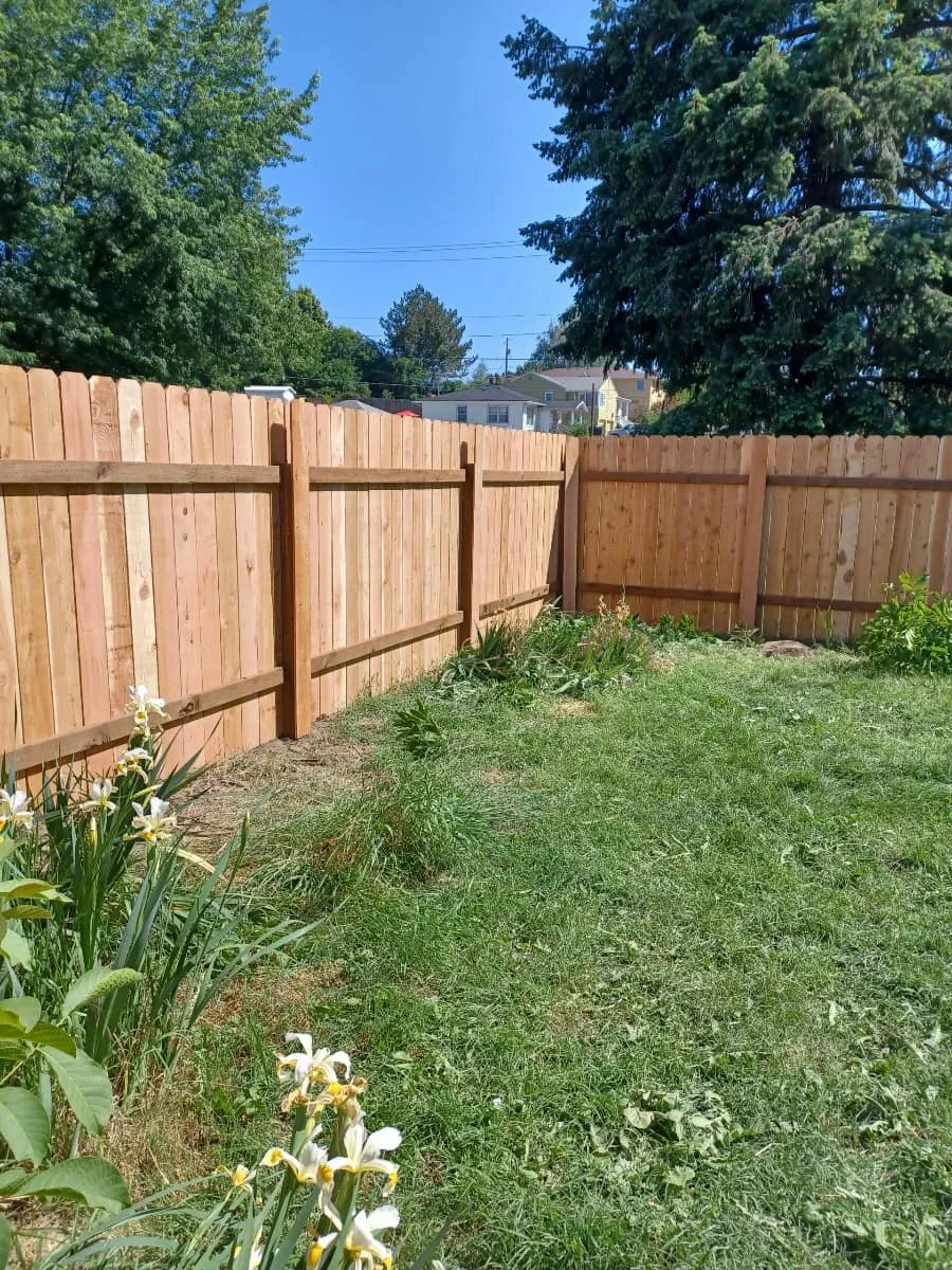 cover-photo