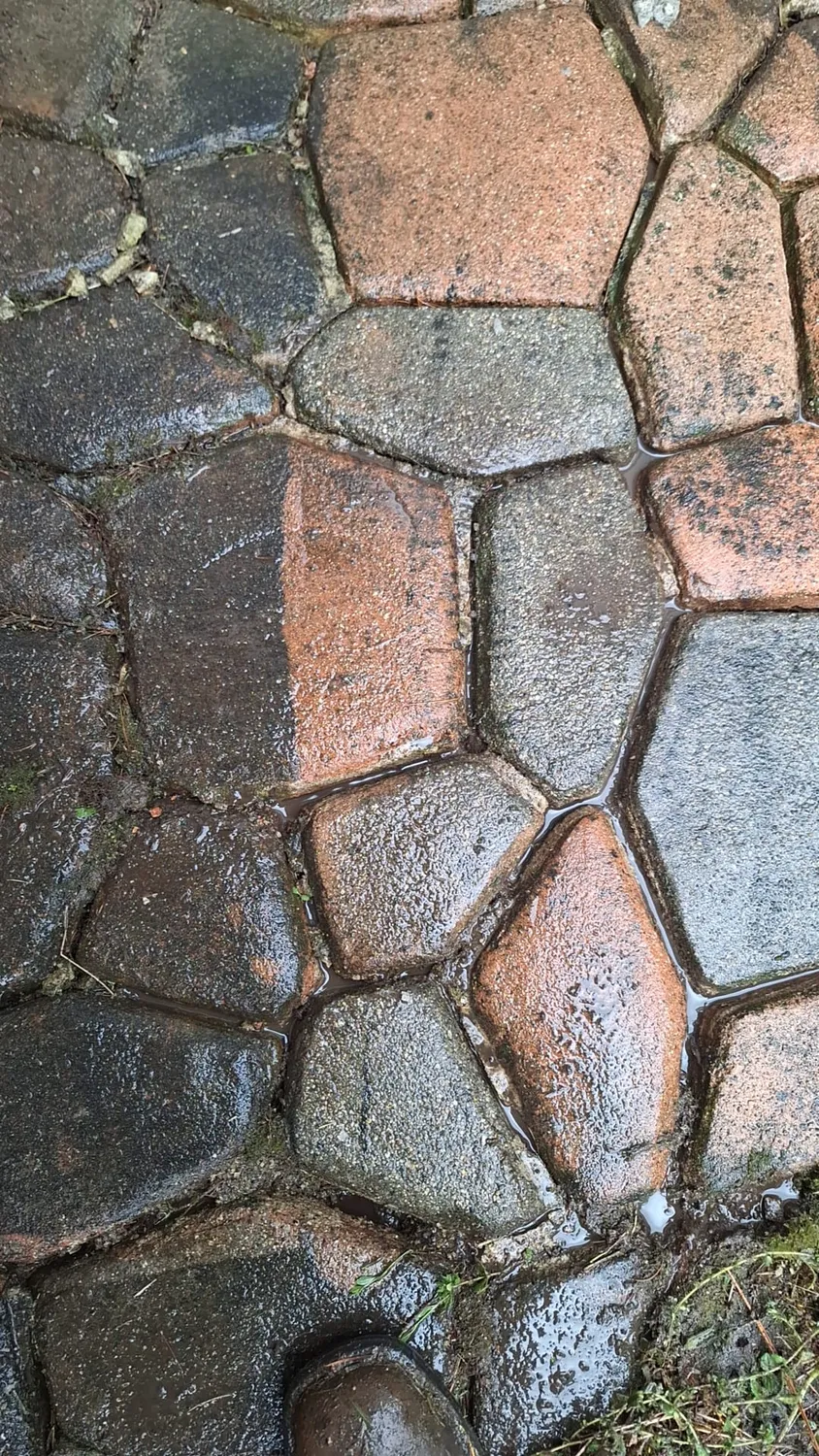 cover-photo