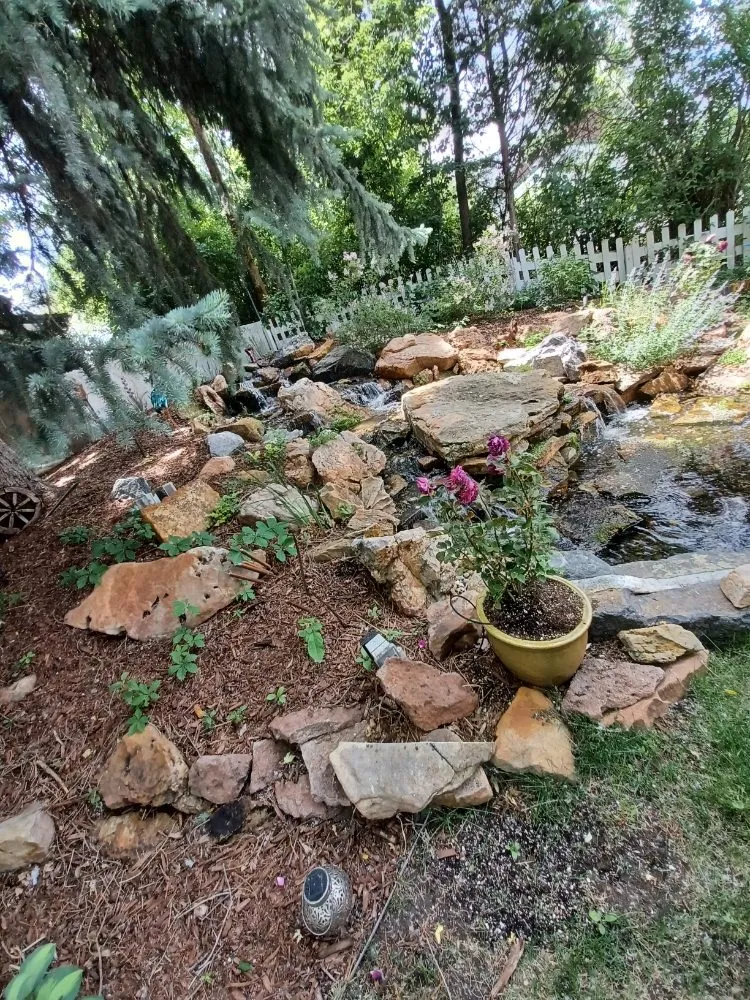 cover-photo