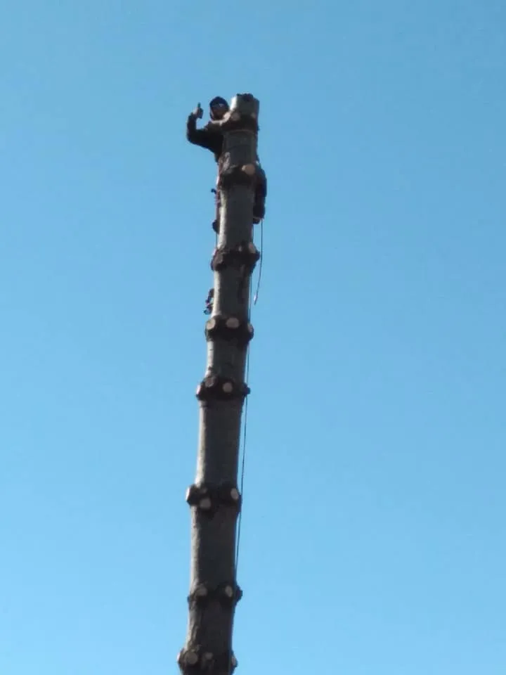 cover-photo