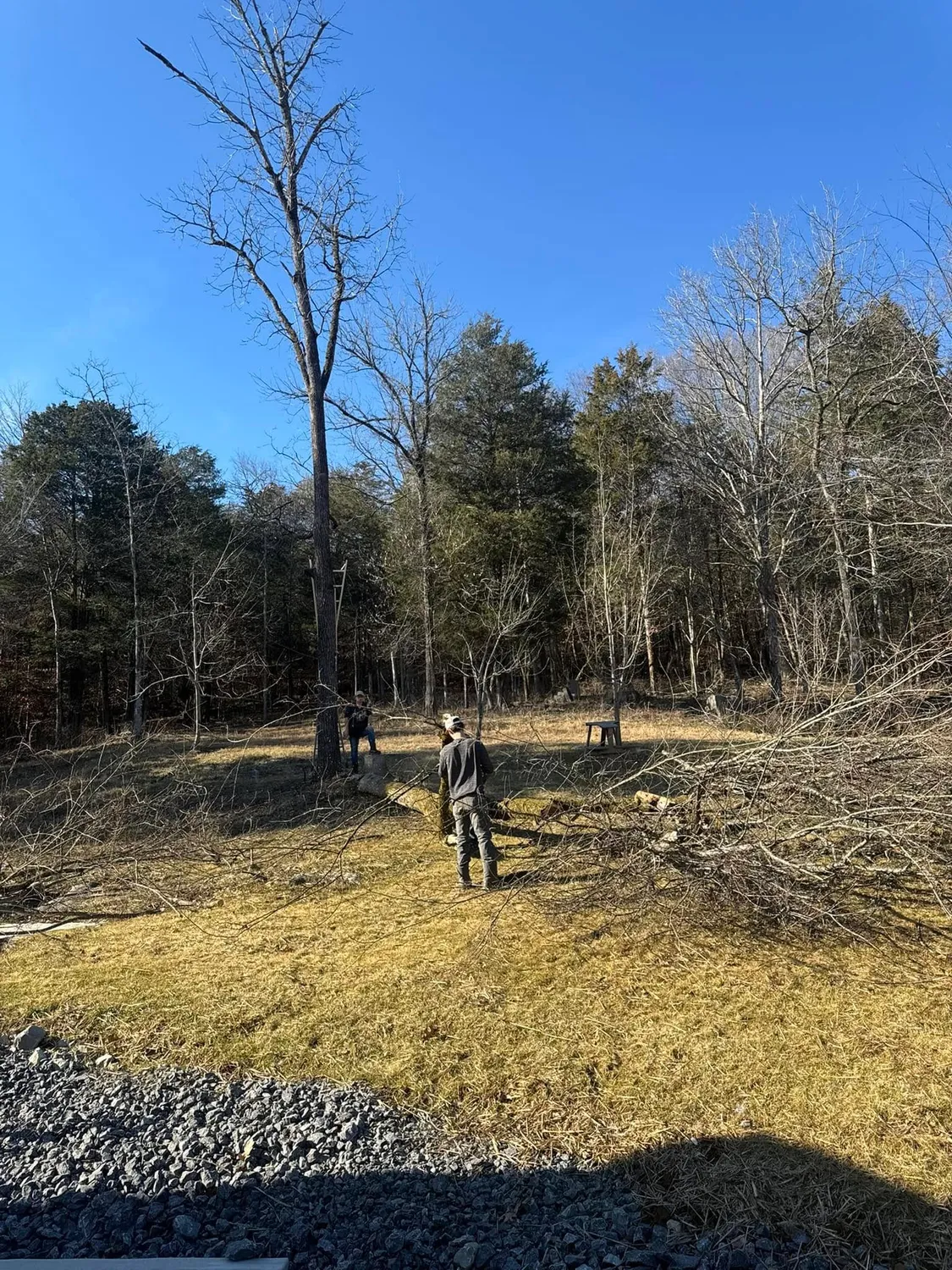cover-photo