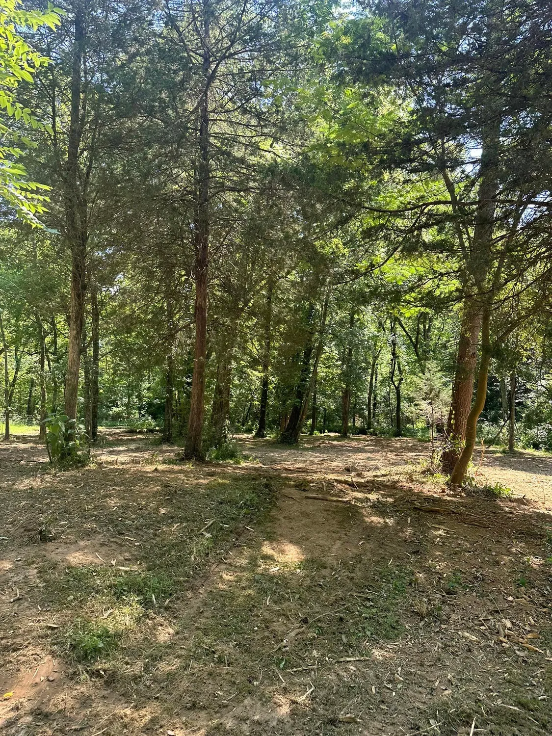 cover-photo