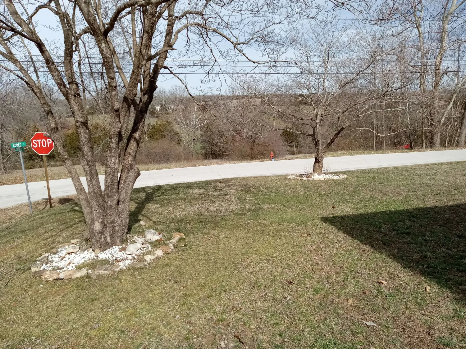 cover-photo
