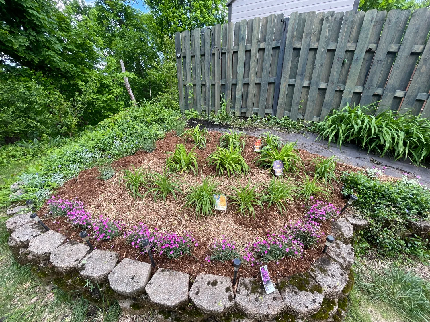 cover-photo