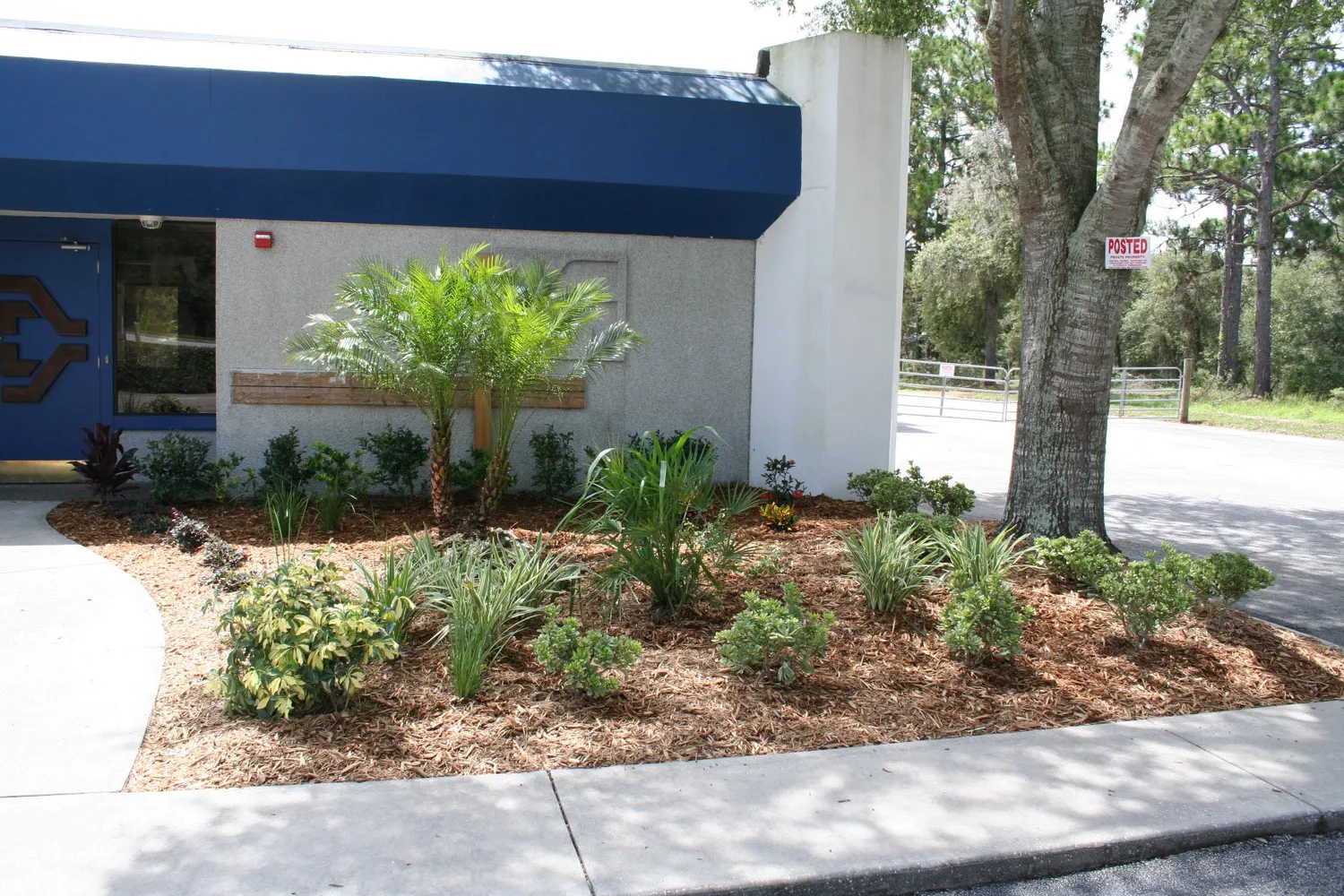 cover-photo