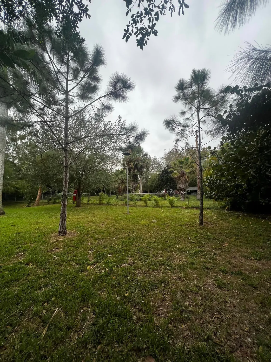 cover-photo