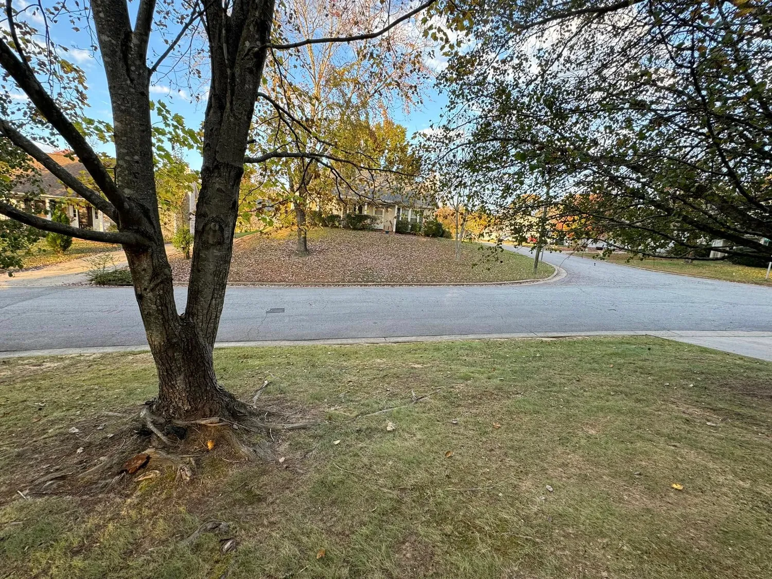 cover-photo