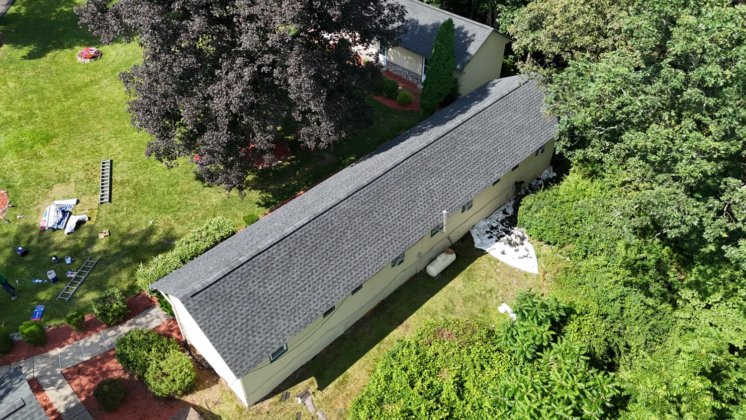 cover-photo