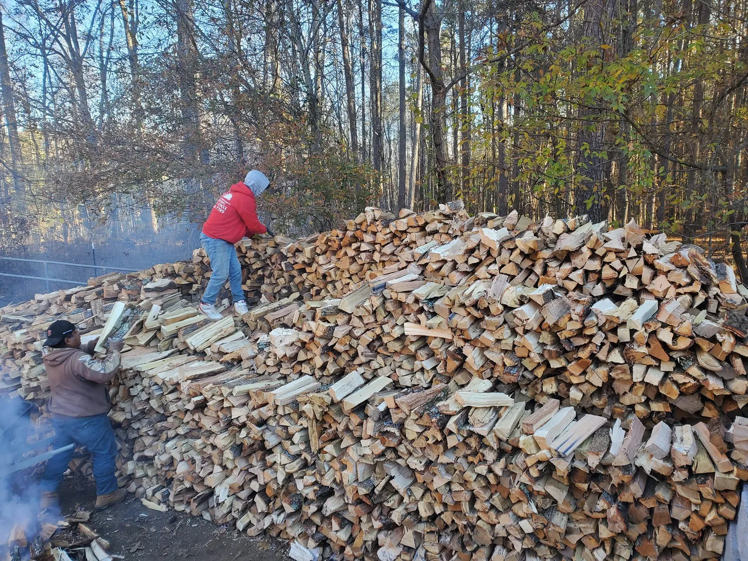Premium seasoned firewood logs