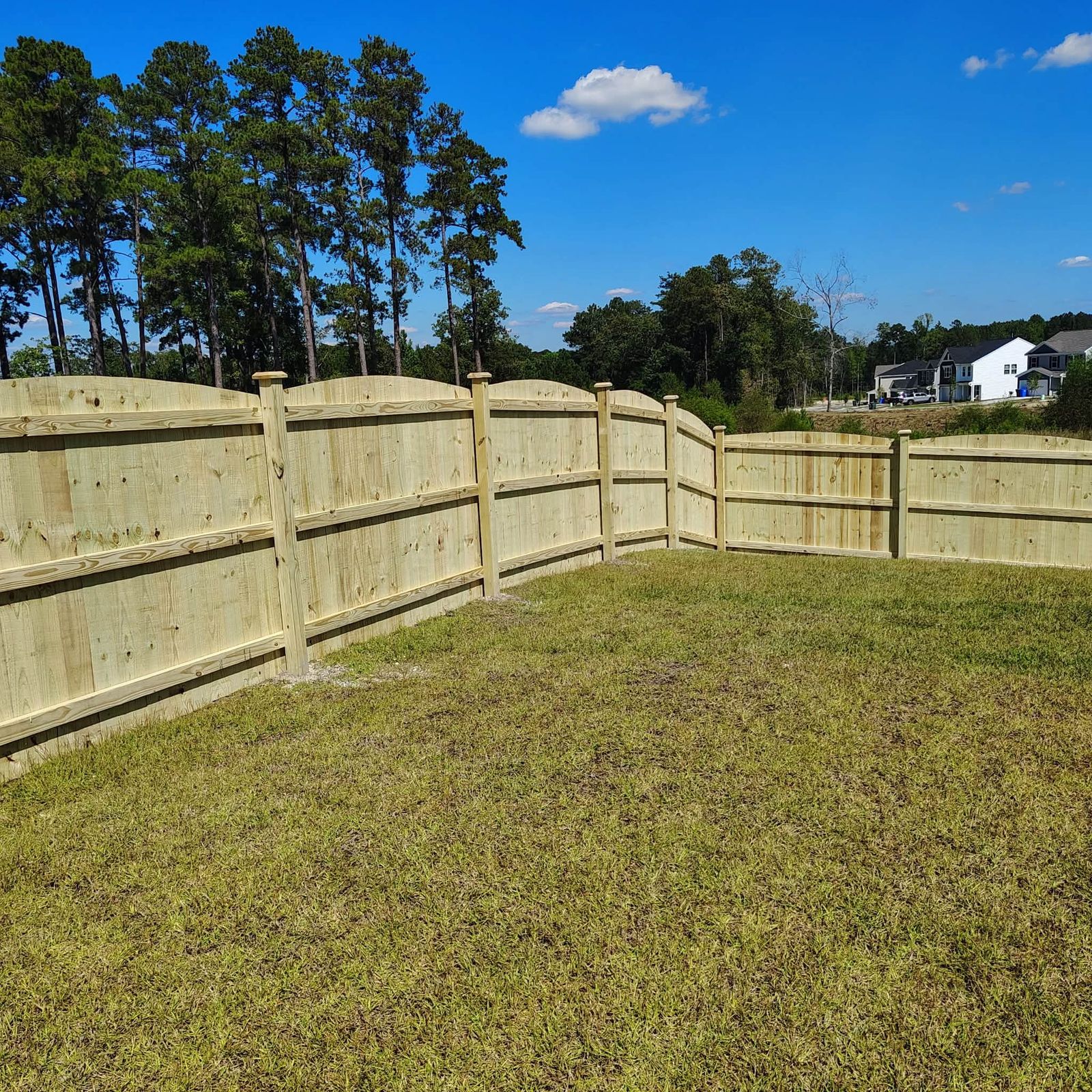 Long run of new pressure treated wood privacy fence across a sunny backyard