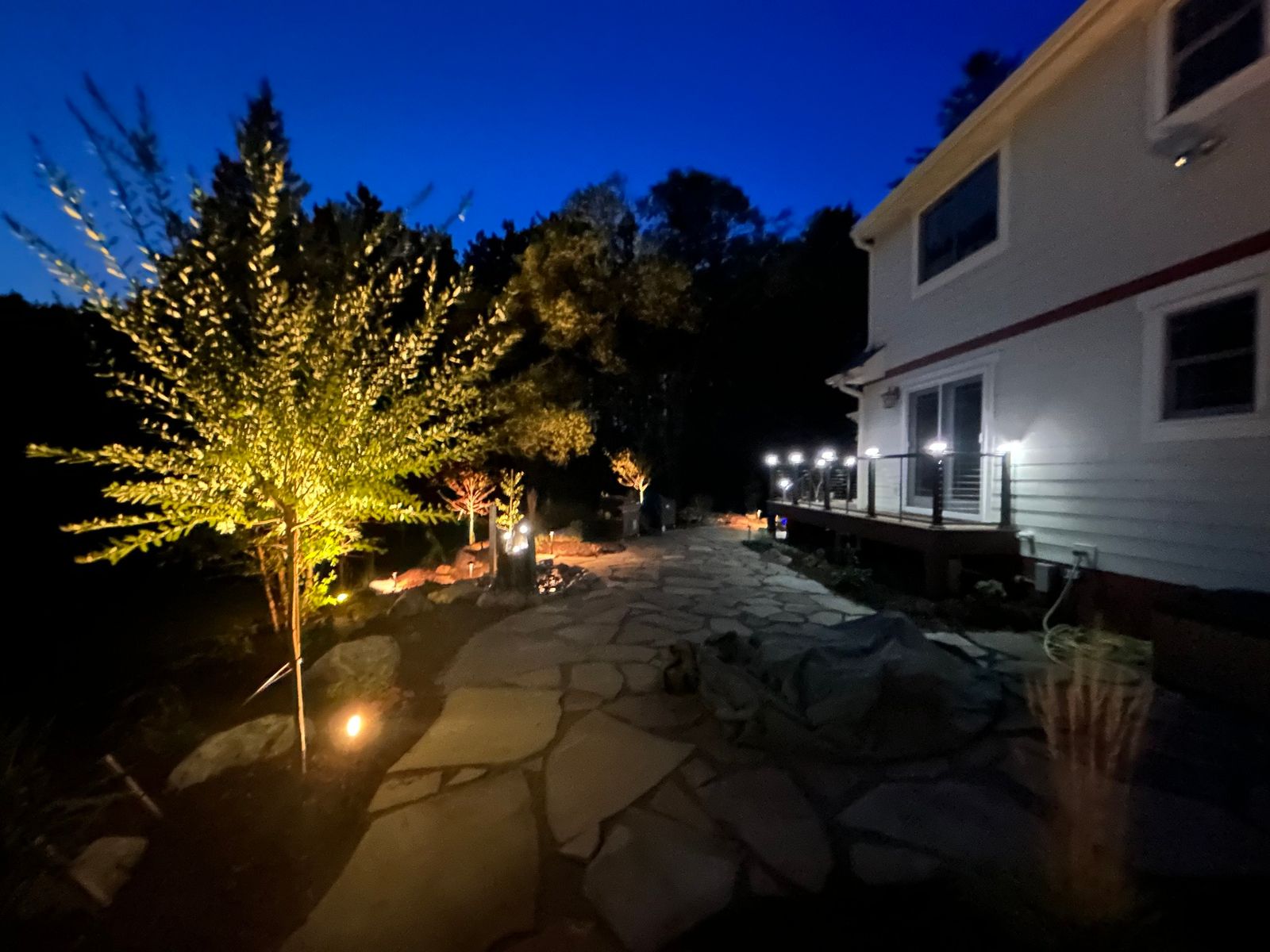 Uplit tree and flagstone patio beside the house at night