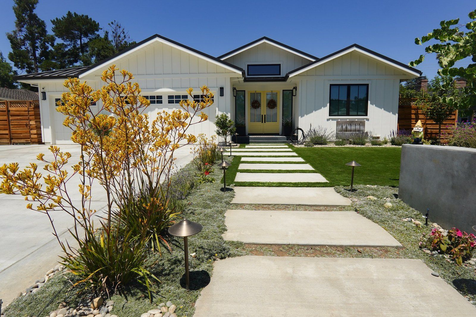 Wide concrete pavers stepping through green lawn toward a white board-and-batten house with a yellow double door, with yellow kangaroo paw, path lights and silver groundcover in the foreground.