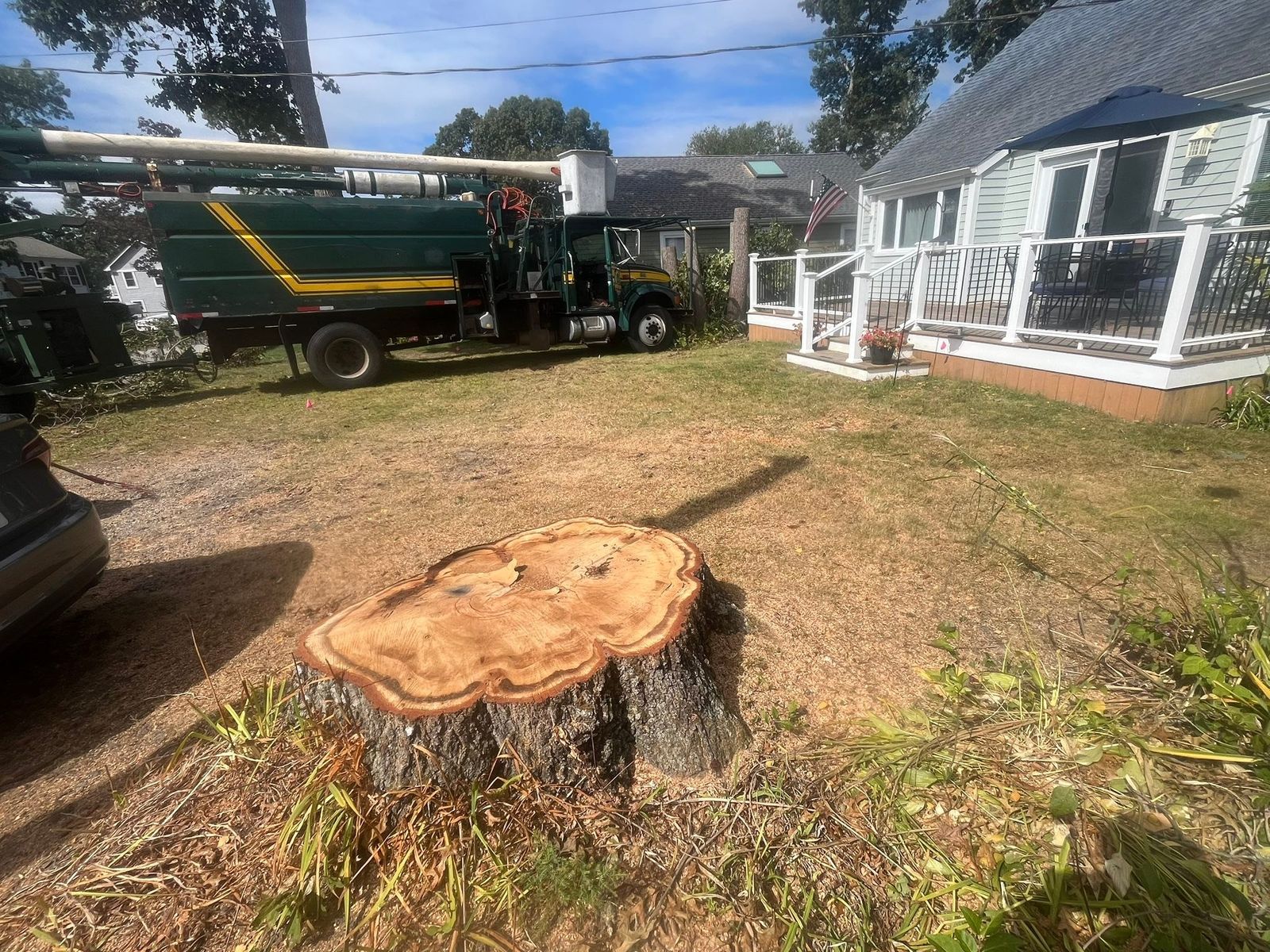 Large fresh-cut stump with a bucket truck and a cottage in the background