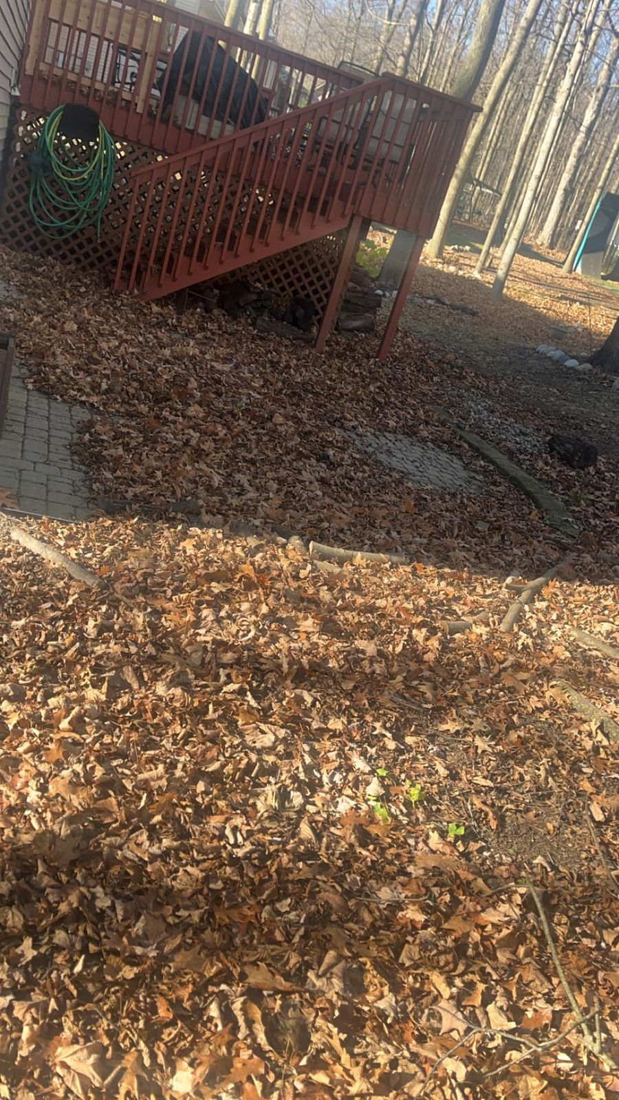 Deep fall leaves covering the ground under a backyard deck