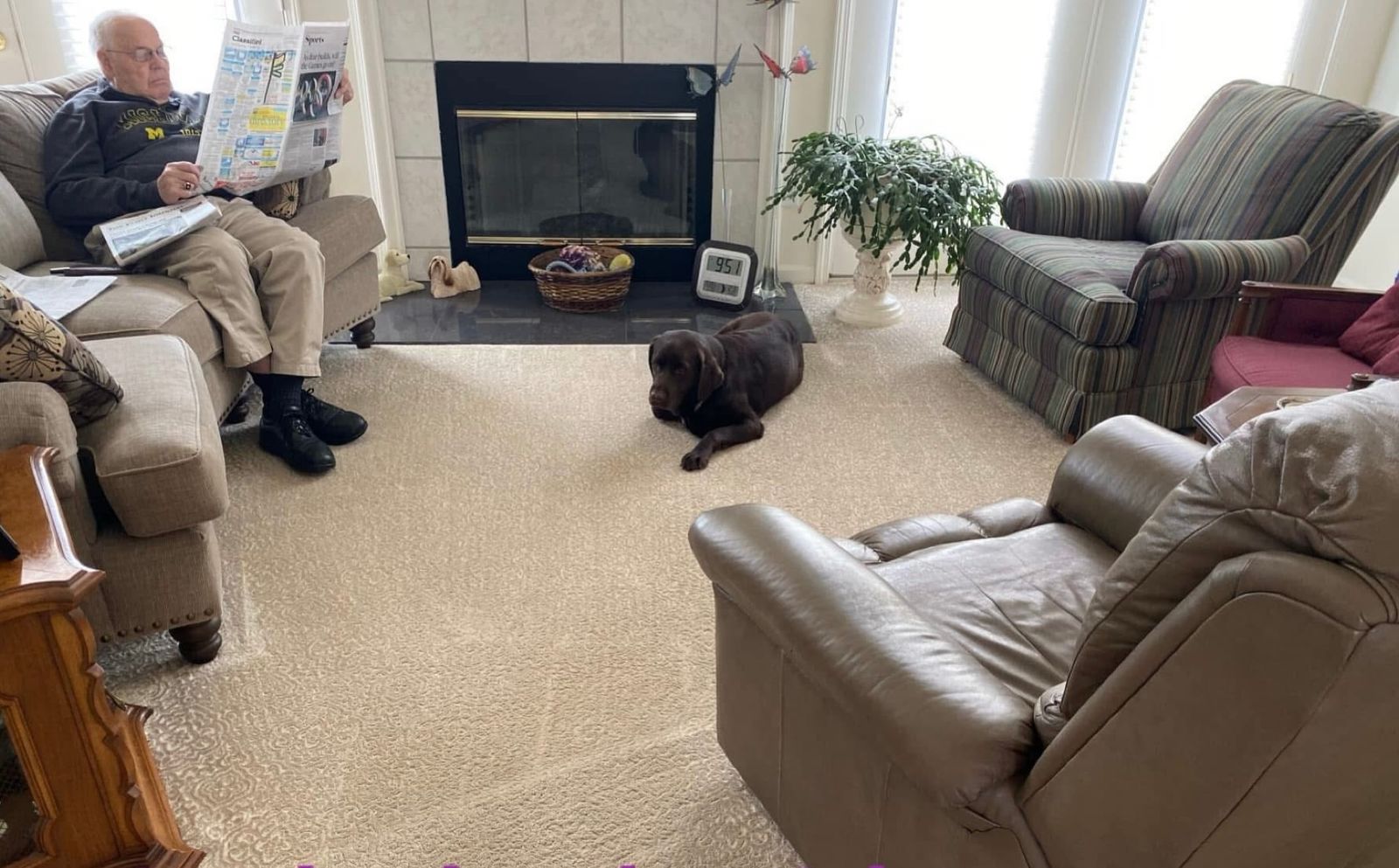 Homeowner relaxing in a freshly cleaned living room with a dog resting on the carpet