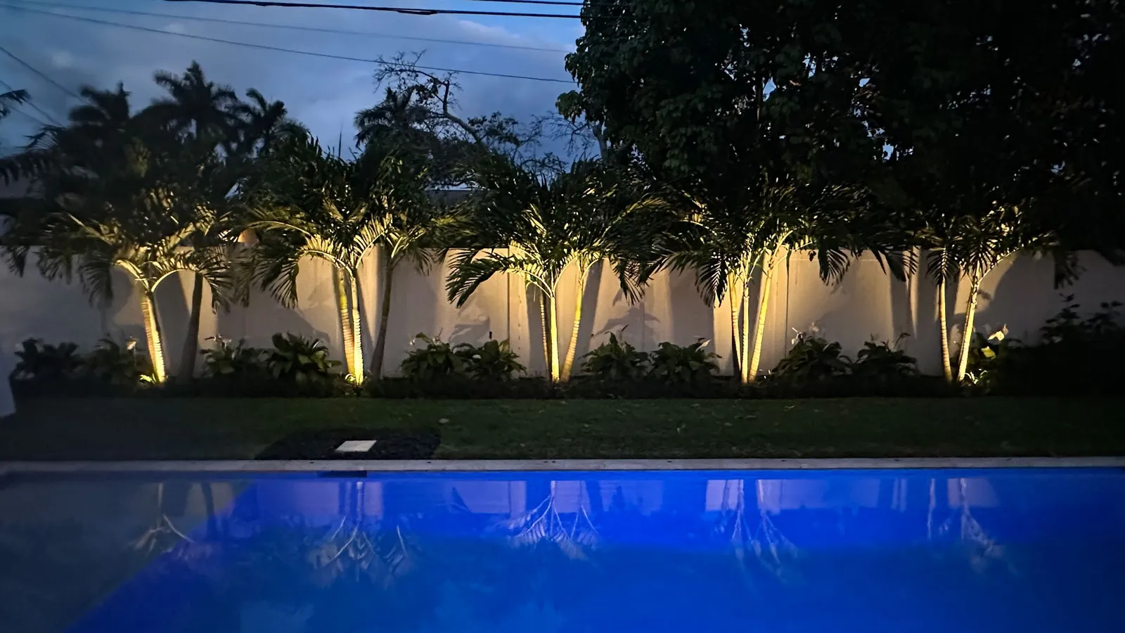 Uplit palms reflected in a backyard pool at night, landscape lighting by South Florida Terra Systems