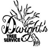 dwightstreeservicellc.com favicon