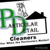 Particular Detail Cleaners  logo