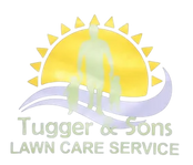 Footer logo