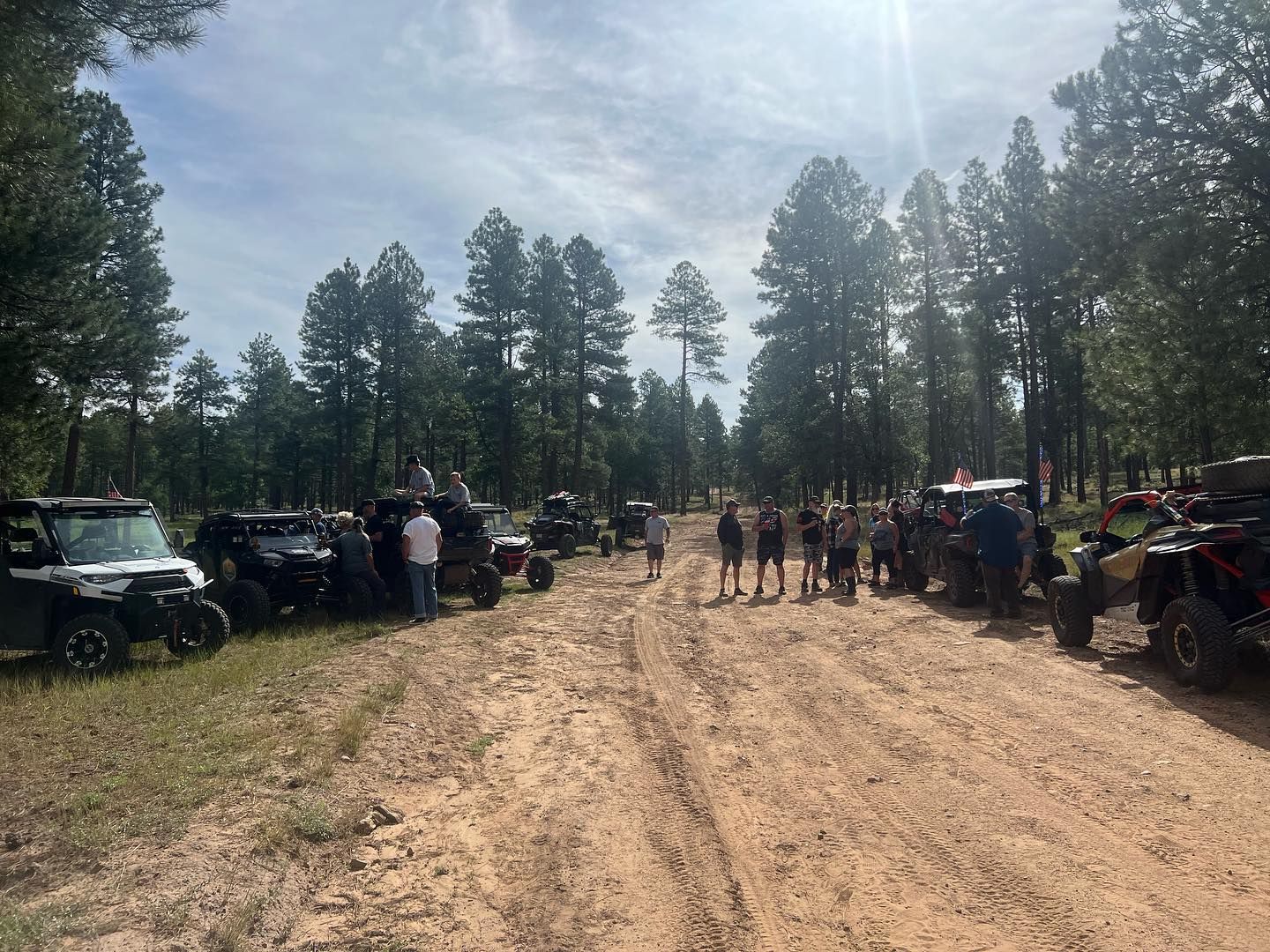 Side-by-sides and riders on a dirt road in the pines