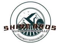 shinebrosllc.com favicon