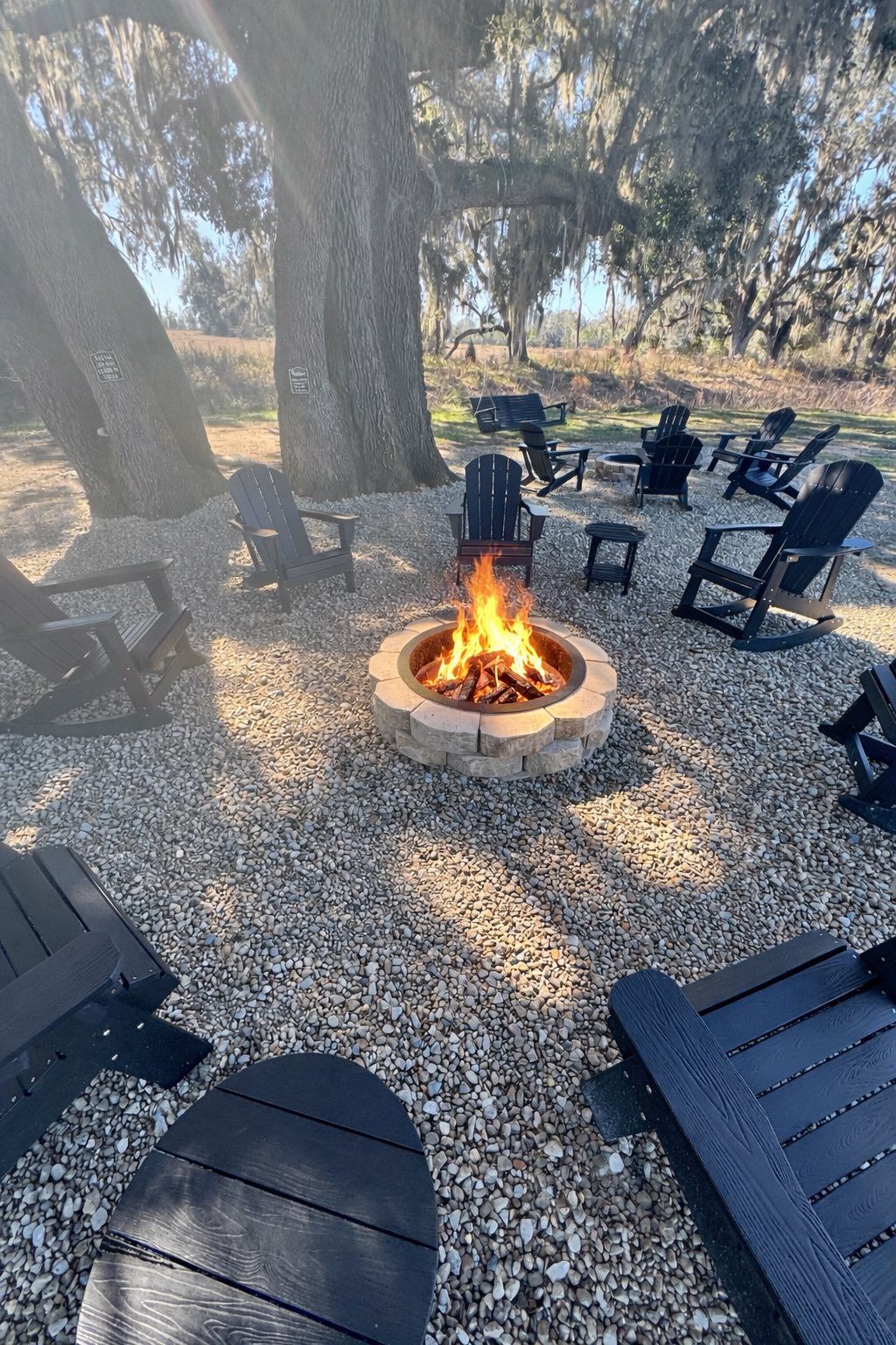 Fire pit surrounded by chairs under the oaks at dusk