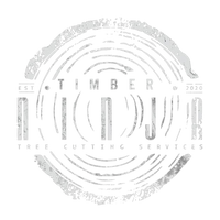 Footer logo