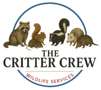 Footer logo