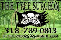 thetreesurgeontx.com favicon