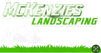 Footer logo