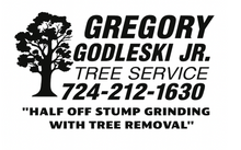 Footer logo
