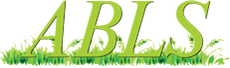 Footer logo