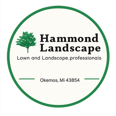 Footer logo