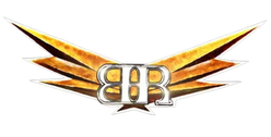 B&R Elite Auto Care LLC logo