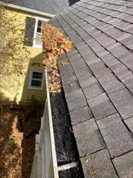 Our gutter cleaning service clears gutters of all debris, including leaves, branches, and dirt to help ensure proper drainage. We also check for any damage that may need repair. for Total Property Solutions in Saint Matthews, KY