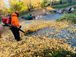 Leaf removal service provides a thorough and reliable clean-up of your outdoor space, removing all debris and leaves. Our experienced and detail-oriented team will take care of everything, so you can relax and enjoy your yard. for Jackson Lawn Services LLC in Florissant , MO