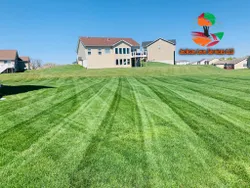 Weed Control is a trusted and experienced service that can help you get rid of any weed problems you might have. We are detail-oriented and will work hard to make sure your lawn looks great. for Jackson Lawn Services LLC in Florissant , MO