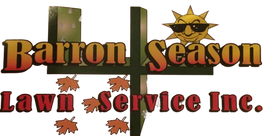 Footer logo