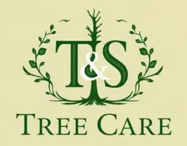tstreecarellc.com favicon
