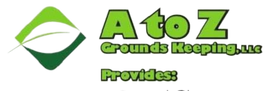 Footer logo