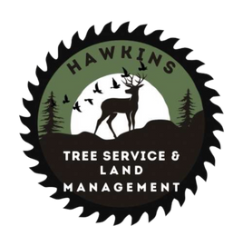 Footer logo