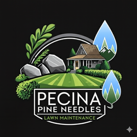 Footer logo