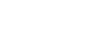 ANSI