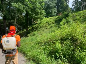 Weed Control is a trusted and experienced service that can help you get rid of any weed problems you might have. We are detail-oriented and will work hard to make sure your lawn looks great. for Jackson Lawn Services LLC in Florissant, MO
